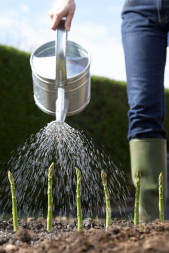 10 tips to make your business grow