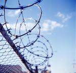 Barbwire_2