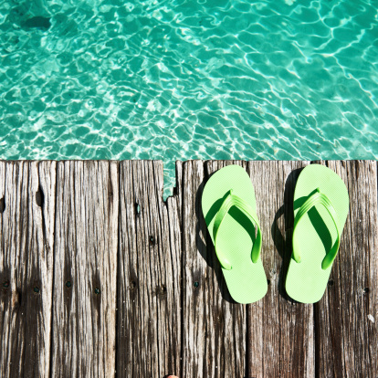 carnival of hr summer