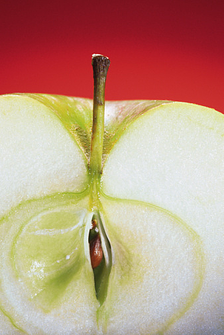 Apple Core Beliefs resized 600