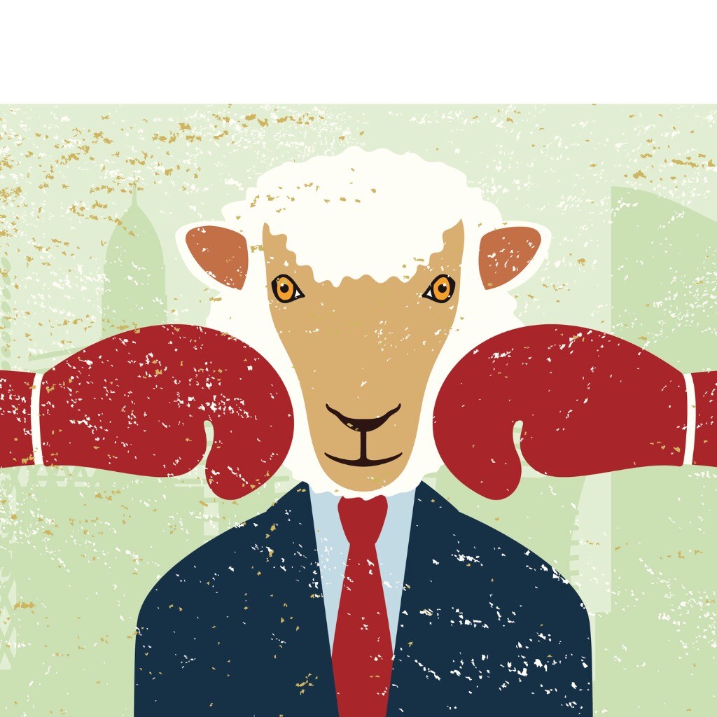 A-Players are the lifeblood of your company. Never hire sheep.