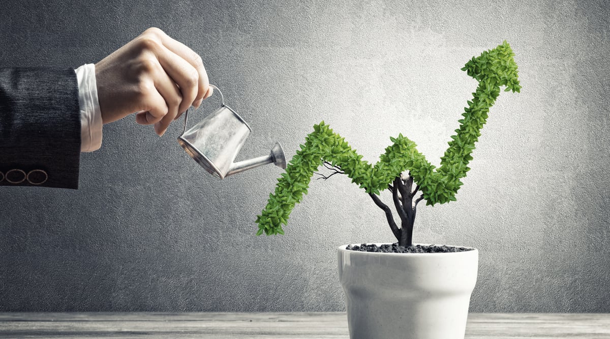 Businessman watering tree for growth